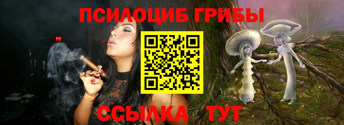 Псилоцибиновые грибы мицелий  Галлюциногенные грибы Psilocybine cubensis  Вход с VPN  Черногорск 